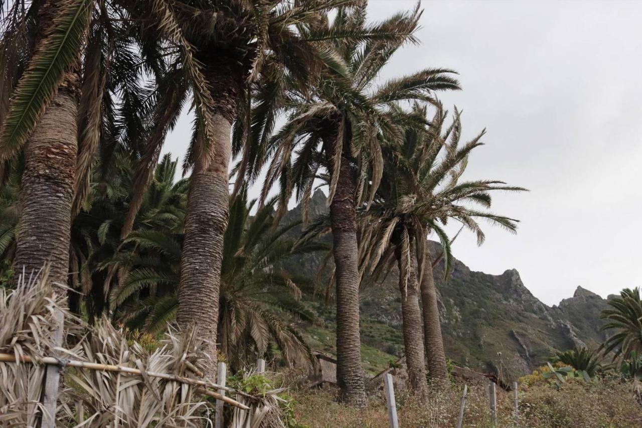 Oasis Atlantico: Rincon Secreto Al Pie De Senderos Ferienhaus *